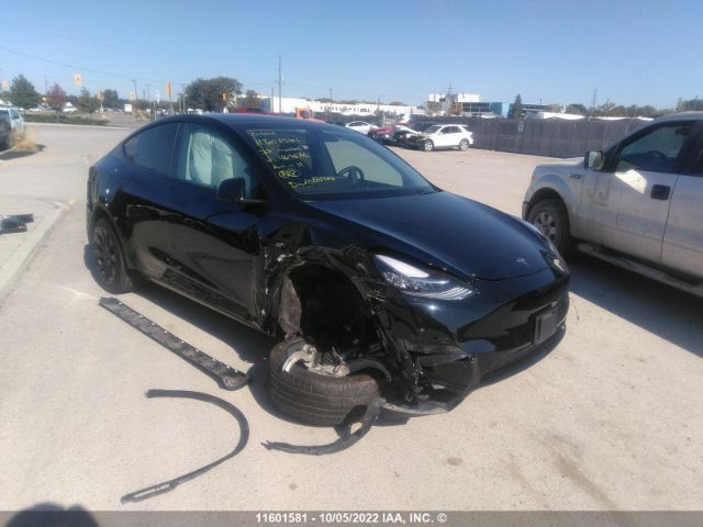 Продажа на аукционе авто 2022 Tesla Model Y, vin: 7SAYGDEE2NF469676, номер лота: 11601581