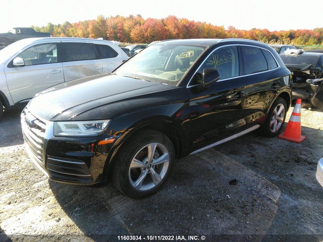 WA1BNAFY9L2049567 Audi Q5 Premium Plus