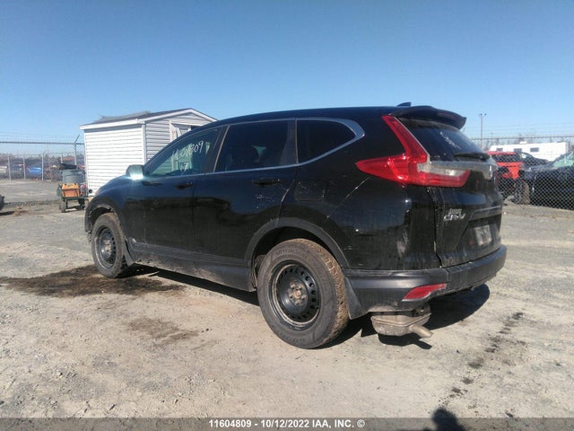 Honda CR-V LX 2017 2HKRW2H29HH134463 Image 3
