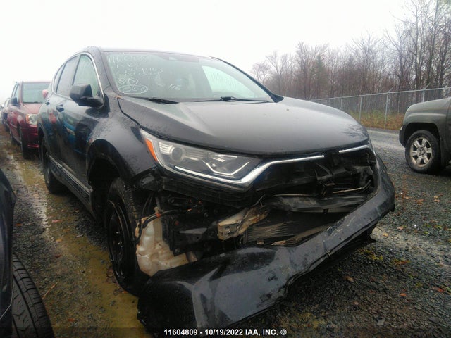 Honda CR-V LX 2017 2HKRW2H29HH134463 Image 6
