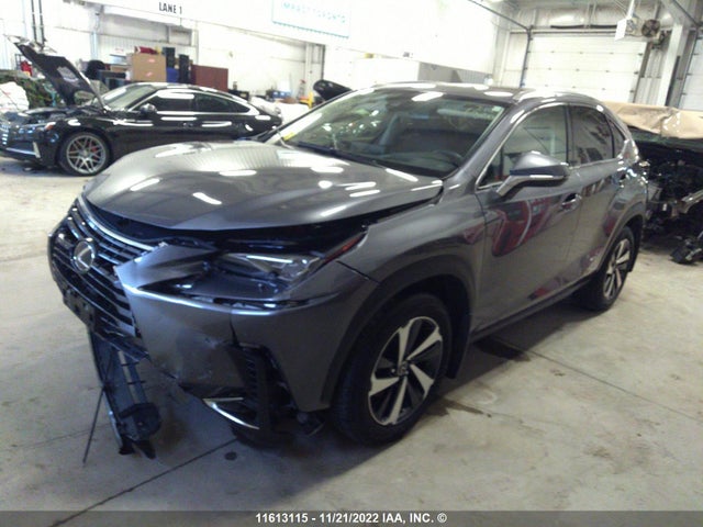 JTJHJRDZXM2167972 Lexus Nx 300h Base/300h Luxury/300