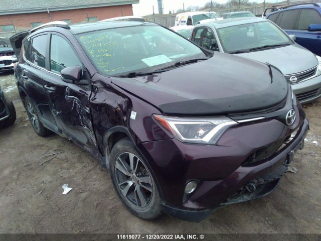 Toyota Rav4 Xle 2016 2T3RFREV7GW491574 zdjęcie główne