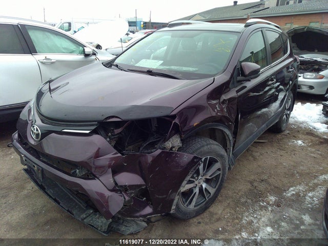 Toyota Rav4 Xle 2016 2T3RFREV7GW491574 Image 2