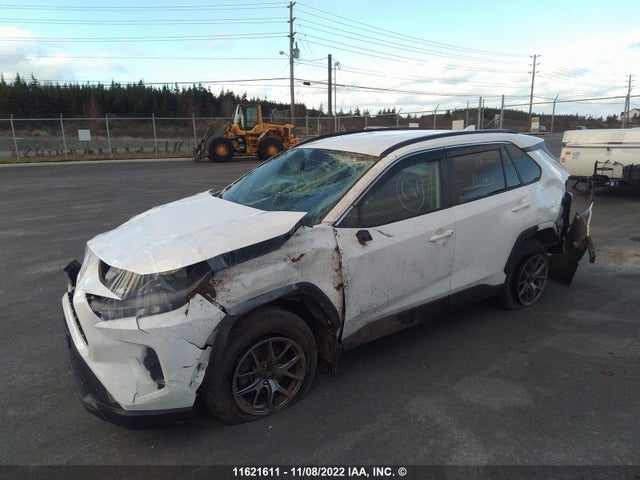 Toyota RAV4 LE 2019 2T3Z1RFV5KC004587 Image 2