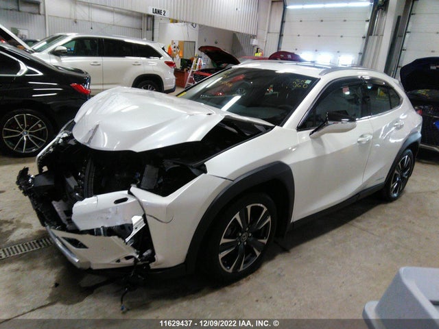 JTHL9JBH9M2039500 Lexus UX 250H