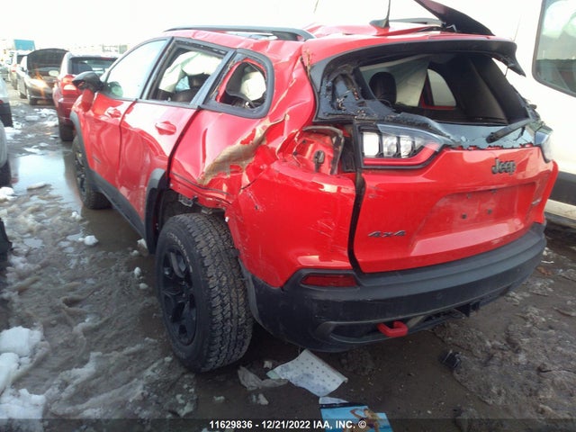Jeep Cherokee Trailhawk 2019 1C4PJMBX8KD425412 Image 3