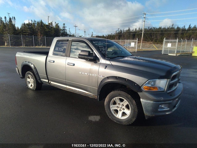 Dodge RAM 1500 2011 1D7RV1GT5BS627689 zdjęcie główne