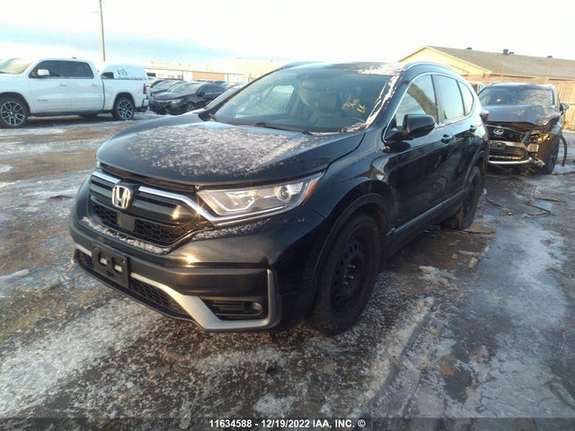 Продаж на аукціоні авто 2020 Honda Cr-v Exl, vin: 2HKRW2H88LH227228, номер лоту: 11634588