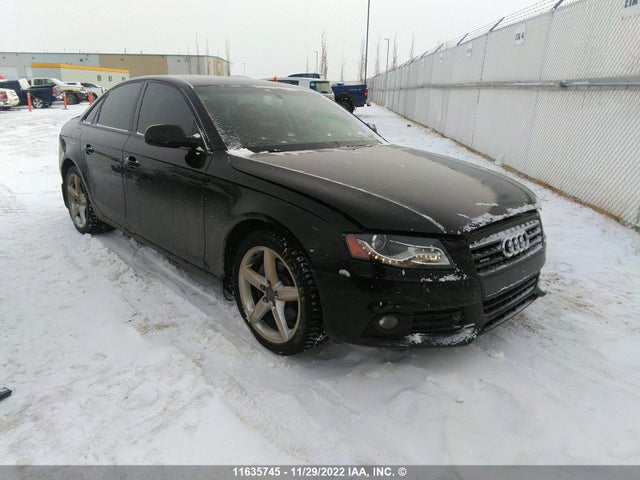 WAUFFCFL0BN008386 Audi A4 Premium Plus