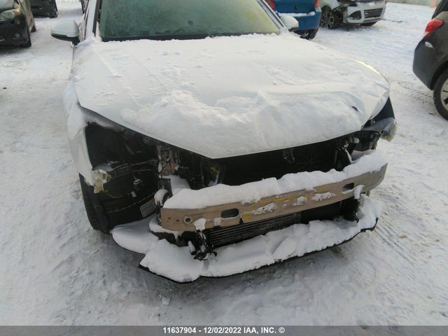 WAUANAF42JA078164 Audi A4 PREMIUM