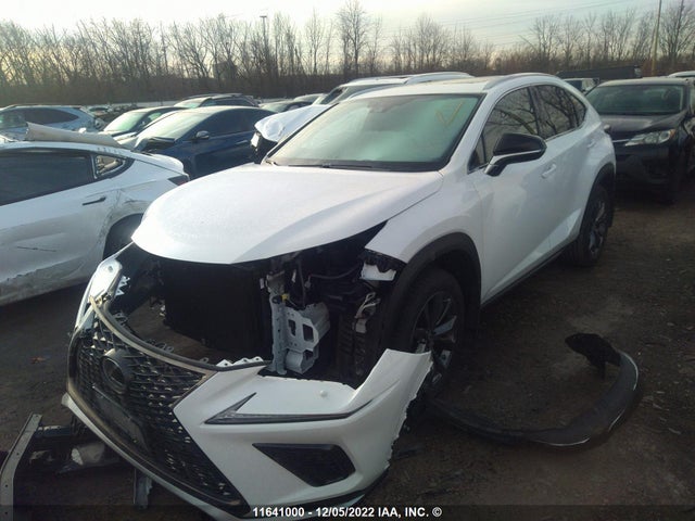 JTJSARDZ3M2260824 Lexus Nx 300 Base/300 Luxury/300 F