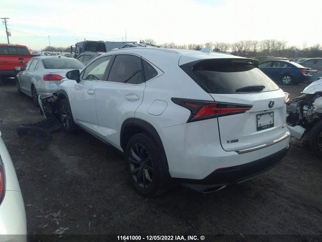 JTJSARDZ3M2260824 Lexus Nx 300 Base/300 Luxury/300 F