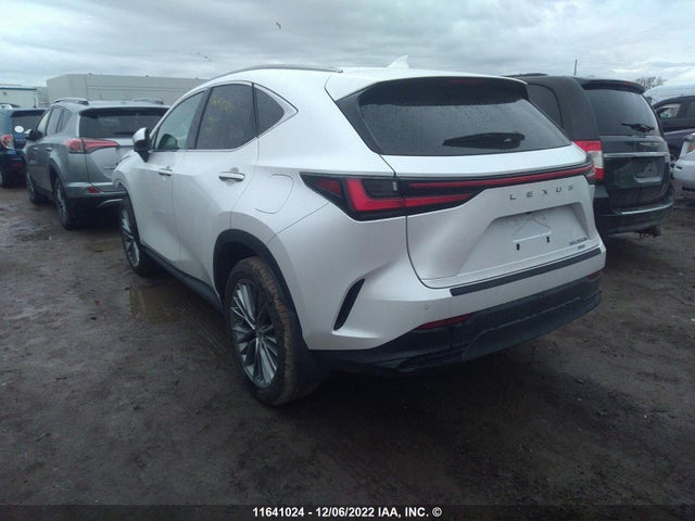 2T2GKCEZ0NC007539 Lexus NX 350H