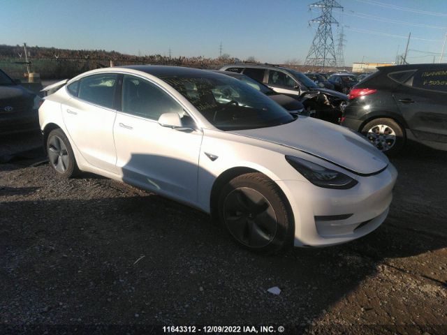 Продажа на аукционе авто 2020 Tesla Model 3, vin: 5YJ3E1EA6LF529349, номер лота: 11643312