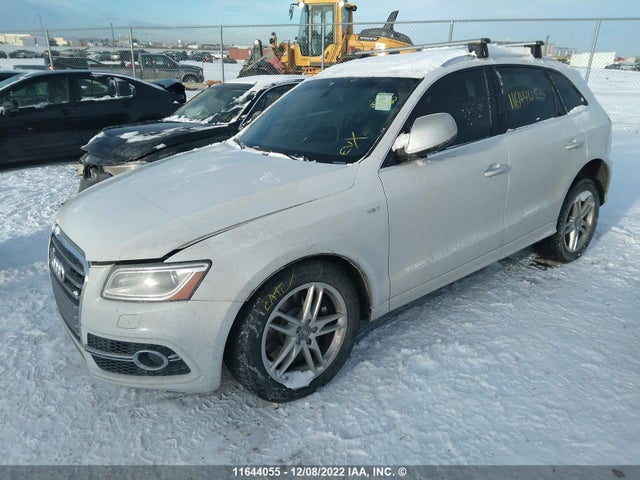 WA1CCAFP8GA024740 Audi Sq5 Premium Plus