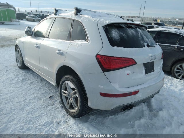 WA1CCAFP8GA024740 Audi Sq5 Premium Plus