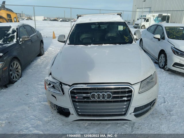 WA1CCAFP8GA024740 Audi Sq5 Premium Plus