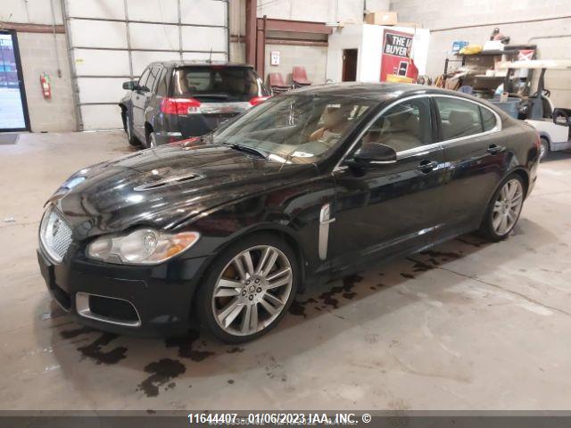 SAJXA0JC9AMR65634 Jaguar XF