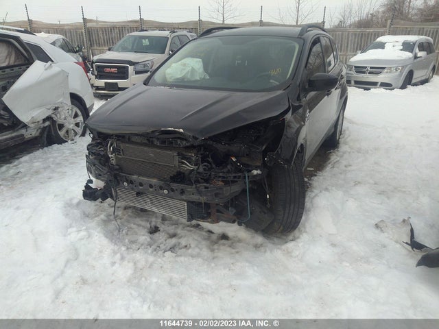 Ford ESCAPE 2017 1FMCU0G99HUC90549 Image 2