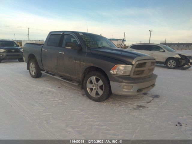 Auction sale of the 2010 Dodge Ram 1500, vin: 1D7RV1CT9AS140676, lot number: 11645038