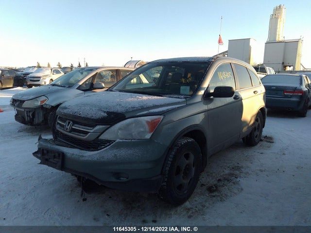 Honda CR-V 2010 5J6RE4H35AL810197 Image 2