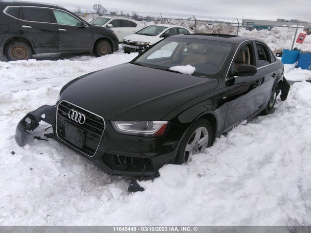 WAUFFCFLXFN003377 Audi A4 Premium Plus