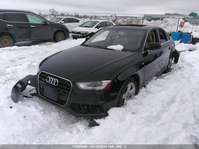 WAUFFCFLXFN003377 Audi A4 Premium Plus
