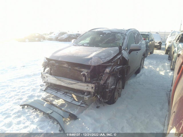 Toyota RAV4 LE 2019 2T3B1RFV8KC014452 Image 2