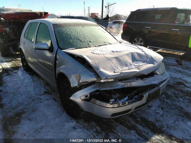 Volkswagen GOLF GLS 2001 9BWGS21J314077781 zdjęcie główne