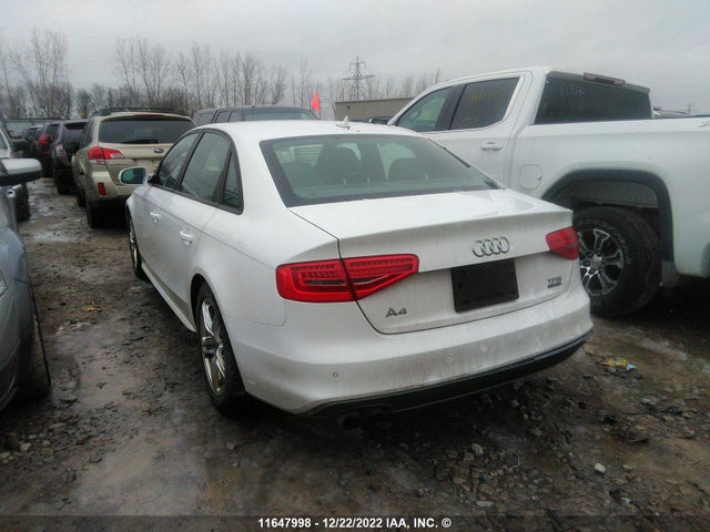 WAUBFCFL3FN037482 Audi A4 PREMIUM