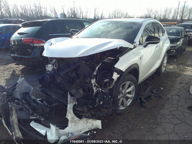 JTJBARBZ9K2212387 Lexus Nx300