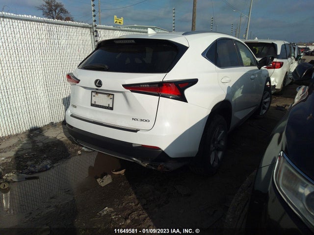 JTJBARBZ9K2212387 Lexus Nx300