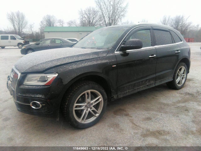 WA1M2AFP8GA108354 Audi Q5 Progressiv/s-line