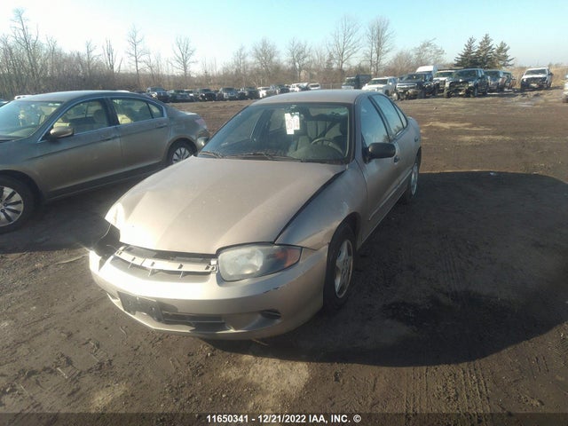 Chevrolet Cavalier 2004 1G1JC52F847125649 Image 2
