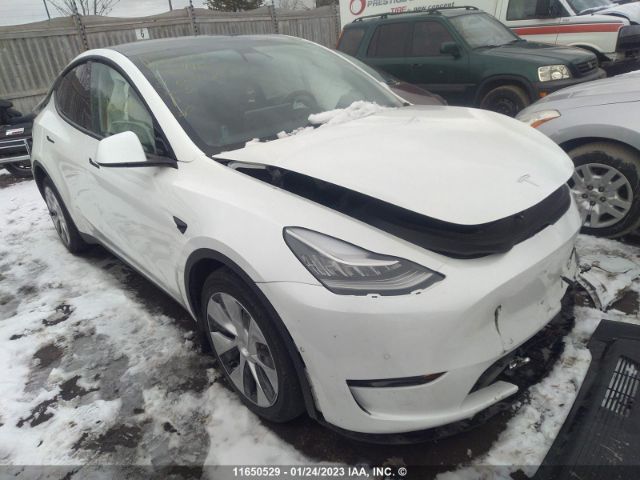 Продажа на аукционе авто 2021 Tesla Model Y, vin: 5YJYGDEE5MF204486, номер лота: 11650529