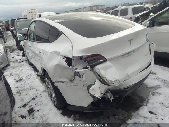 5YJYGDEE5MF204486 Tesla Model Y