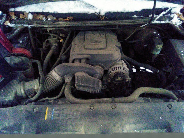Chevrolet Silverado K1500 2008 1GCEK19J18E175440 Image 11
