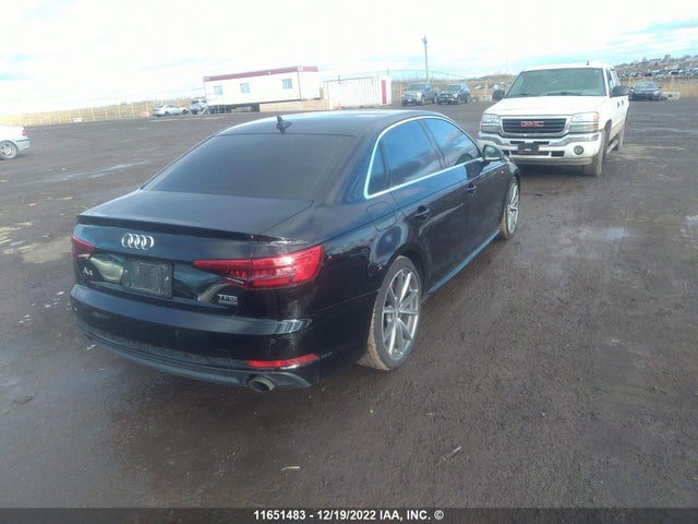 WAUENAF49HN011503 Audi A4 Premium Plus