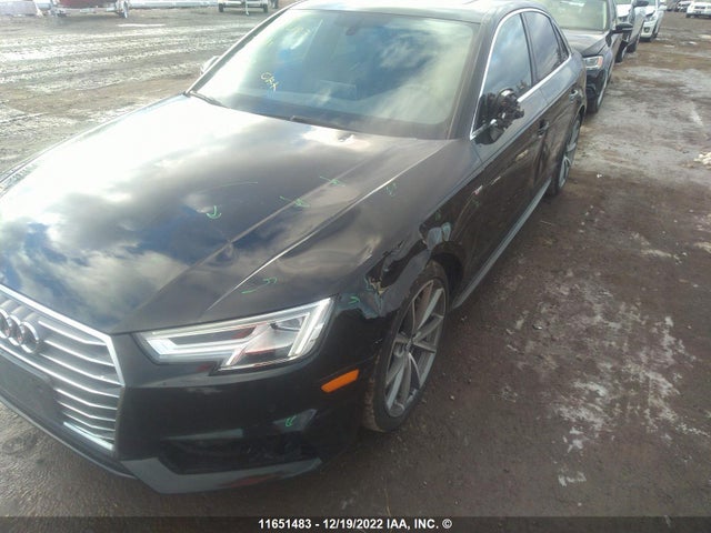 WAUENAF49HN011503 Audi A4 Premium Plus