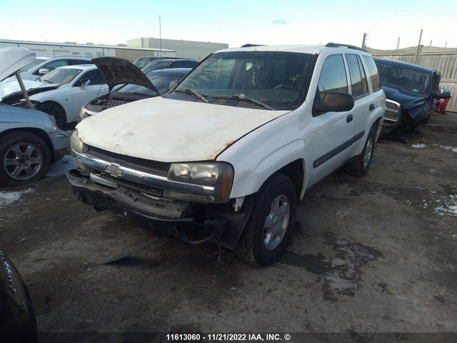 Chevrolet Trailblazer 2003 1GNDT13S432205512 Image 2