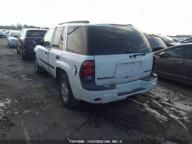 Chevrolet Trailblazer 2003 1GNDT13S432205512 Image 4