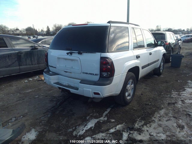 Chevrolet Trailblazer 2003 1GNDT13S432205512 Image 5