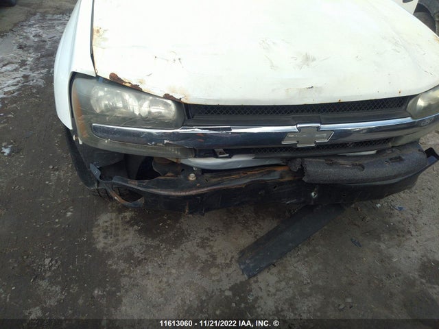 Chevrolet Trailblazer 2003 1GNDT13S432205512 Image 7