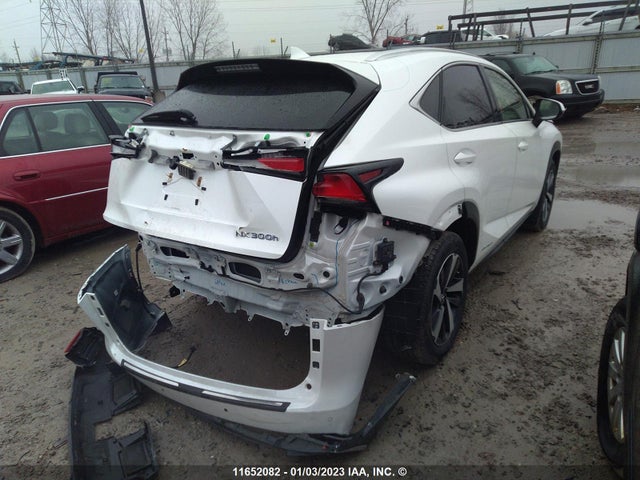JTJBJRBZ4J2091797 Lexus NX 300H