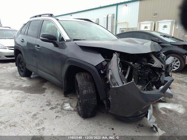 2019 2T3J1RFV2KW007295 main image