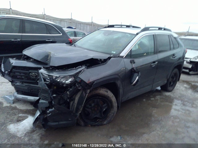 Toyota RAV4 2019 2T3J1RFV2KW007295 Image 2