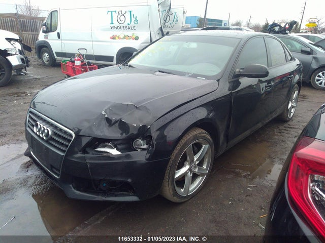 WAUBFCFL5BN056268 Audi A4 PREMIUM