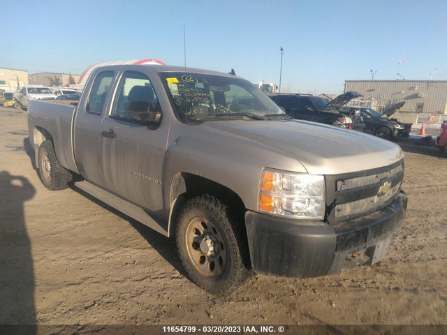 Chevrolet Silverado K1500 2007 1GCEK19C17Z628125 главное изображение