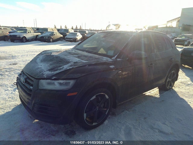 WA1ENAFY2L2023115 Audi Q5 Titanium Premium Plus