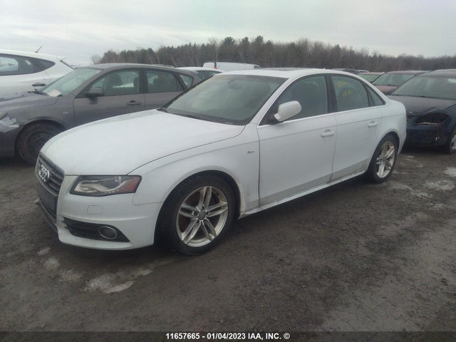 WAUFFCFL5CA112803 Audi A4 PREMIUM